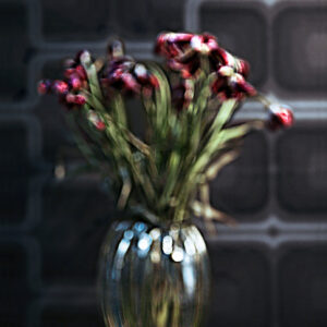 Flowers – …Sì, mi ricordo