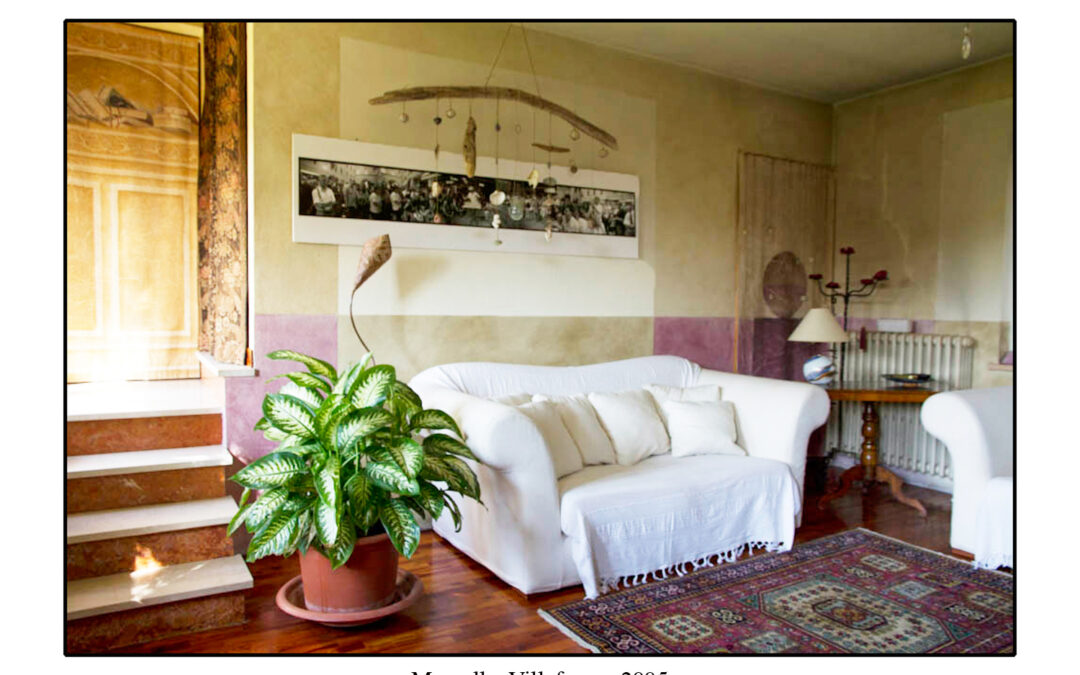 “My Images in Private Homes”, Joe Oppedisano