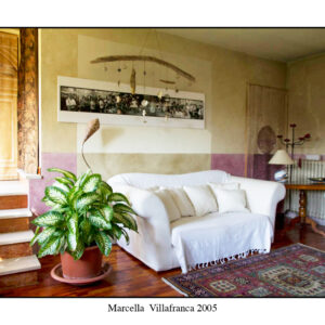 “My Images in Private Homes”, Joe Oppedisano