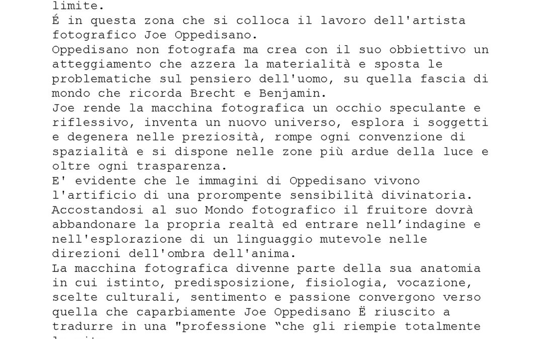 Lucrezia De DOMIZIO DURINI, Testo critico su Joe Oppedisano