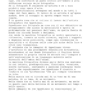 Lucrezia De DOMIZIO DURINI, Testo critico su Joe Oppedisano