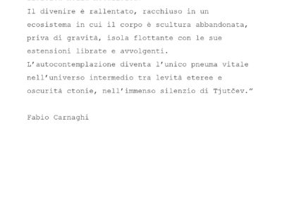 Critical Text, Fabio Carnaghi, Ultrafilosofia