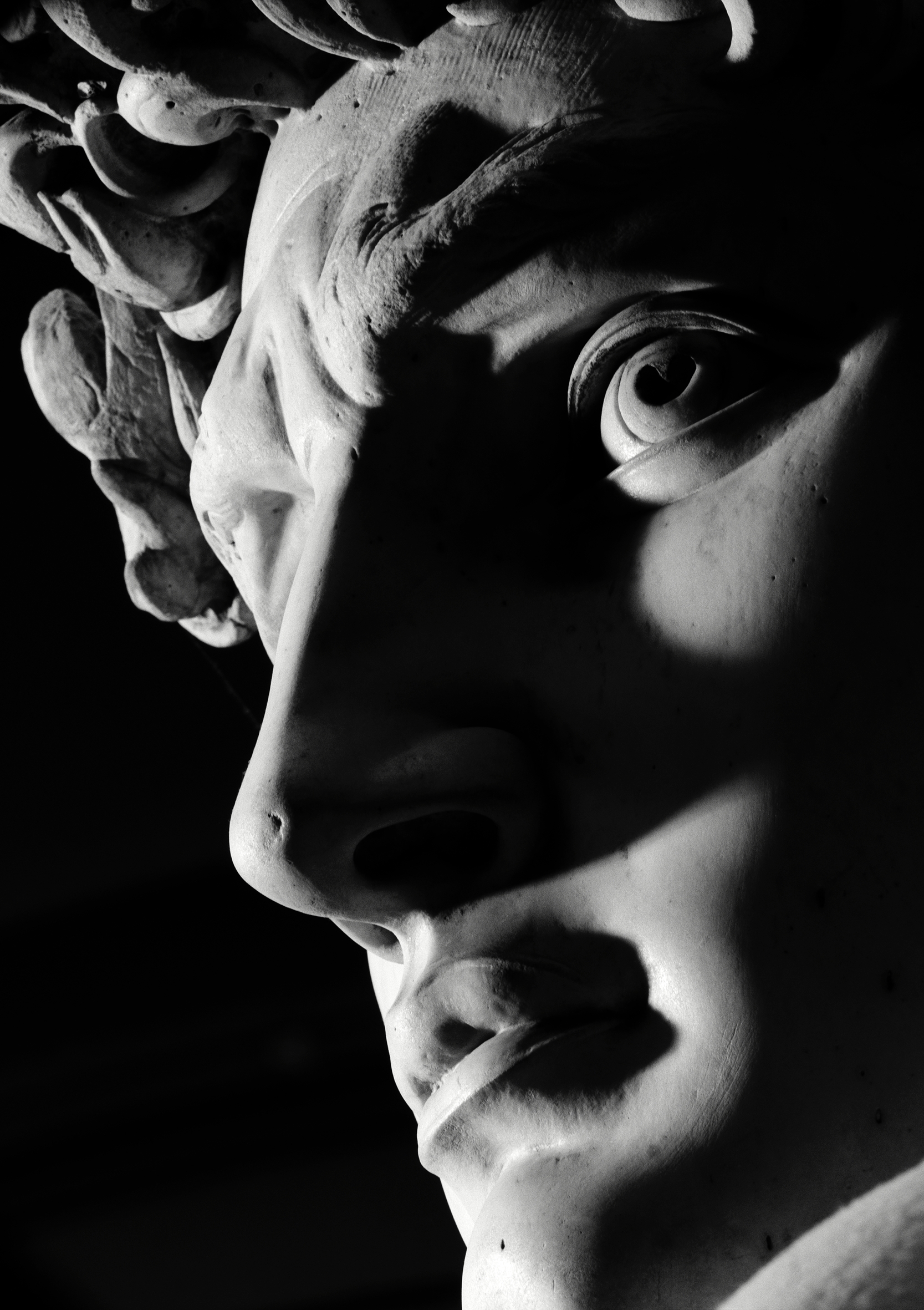 Michelangelo Buonarroti, Galleria dell’Accademia